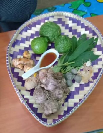 Penjagaan Ibu Lepas Bersalin Serta Lain-Lain Perkhidmatan di Johor