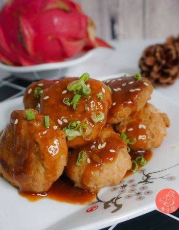 春之园养身月子餐 Spring View Confinement Food