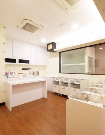 My Love Confinement Centre