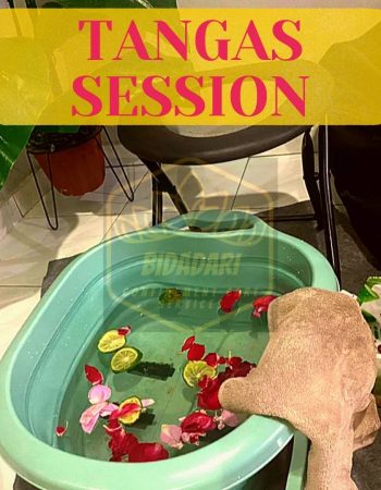 Bidadari Confinement Care Services